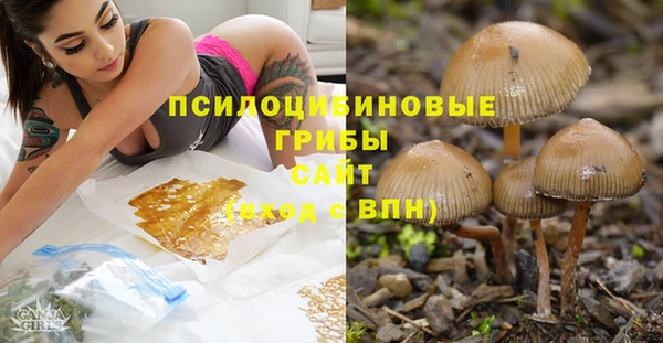 экстази Гусев