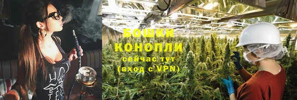 экстази Гусев
