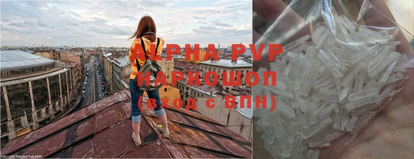 экстази Гусев
